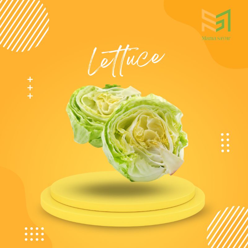 

Head Lettuce segar per pack
