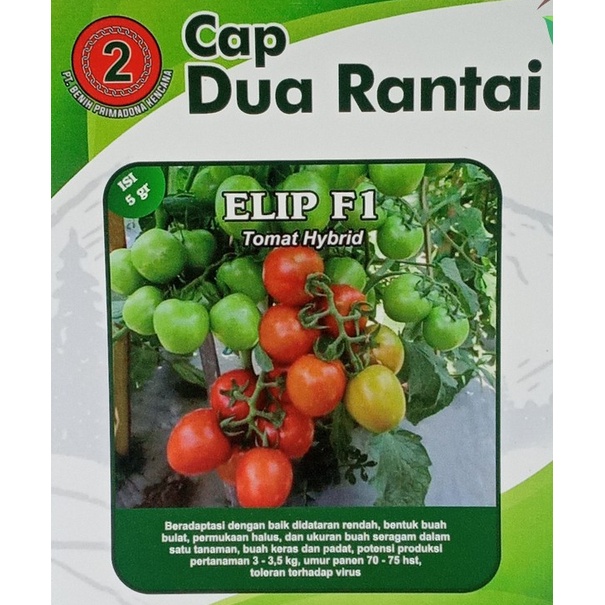 Benih Bibit Tomat unggul rempai ELIP F1 Sayuran - Bibit Tanaman Sayur