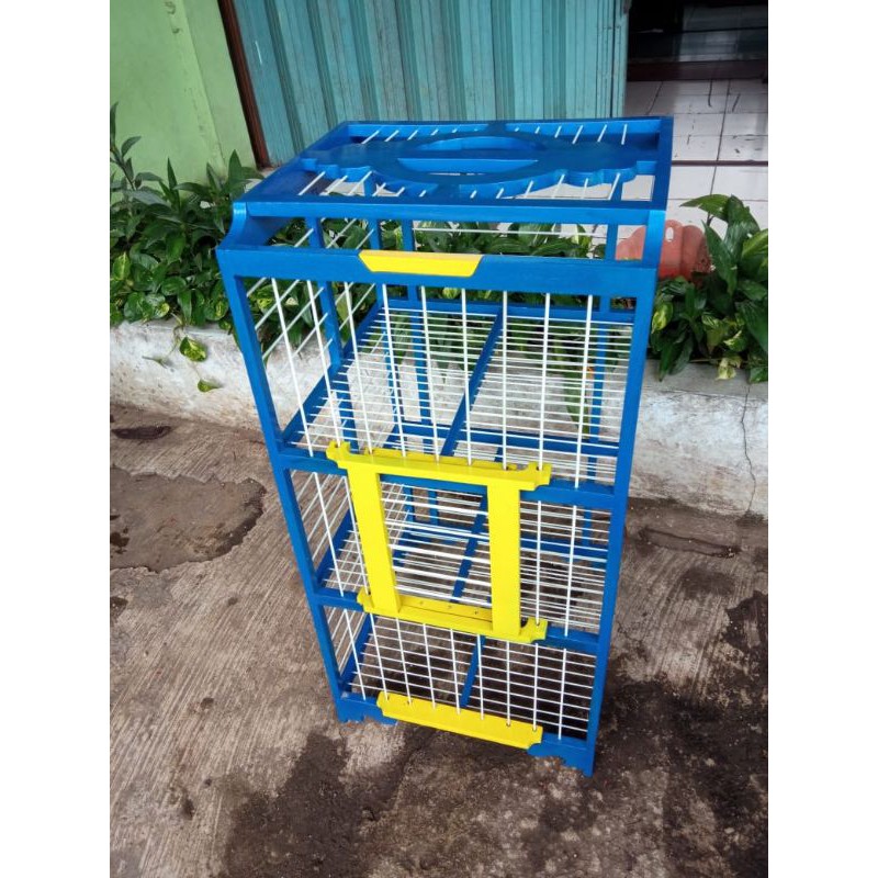 dondang  lepas tingkat 3 fiber khusus burung dara merpati dara lomba bahan kayu jati cat duco
