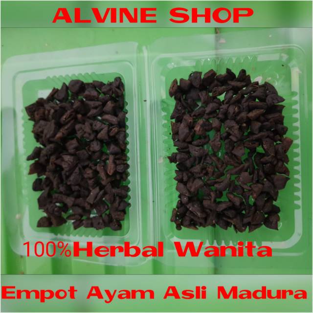 

Mpot Ayam Super Asli Madura -Empot Ayam Super Madura Asli Alami isi 100 iris 13gram