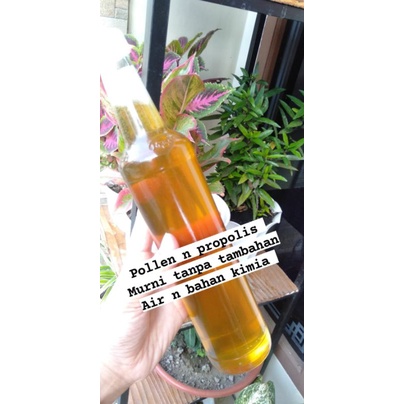

madu randu asli