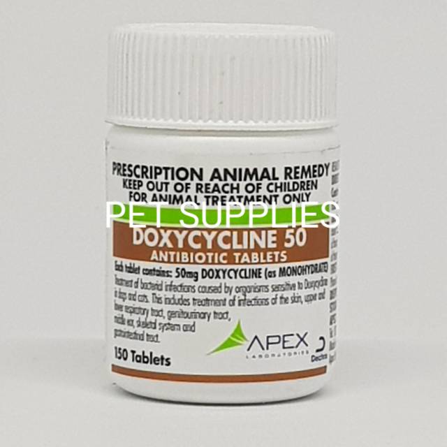 Doxycycline 50 mg Obat Antibiotik Anjing Kucing harga per 5 butir