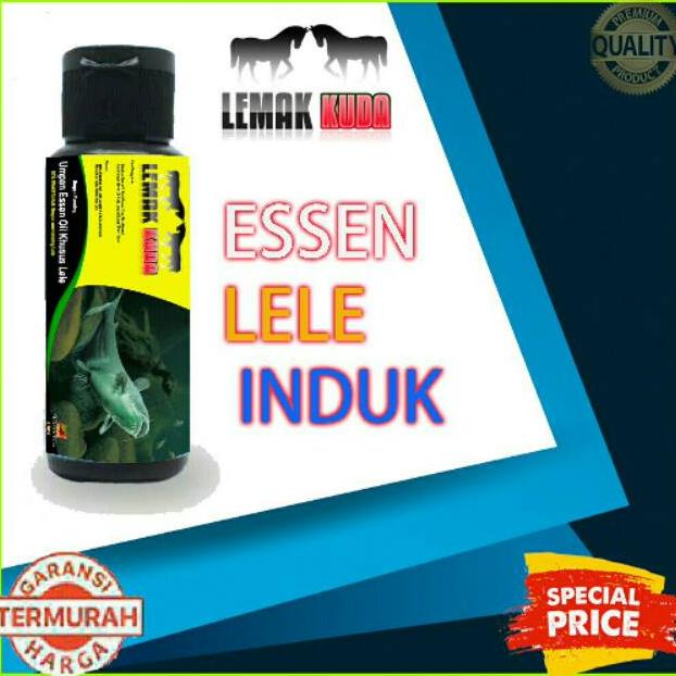 ESSEN LEMAK KUDA GALATAMA LELE AROMA LEBIH STRONG TERLARISS...,,,,,