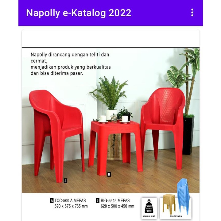 Set Meja dan Kursi Plastik Teras Serbaguna Napolly Original Murah