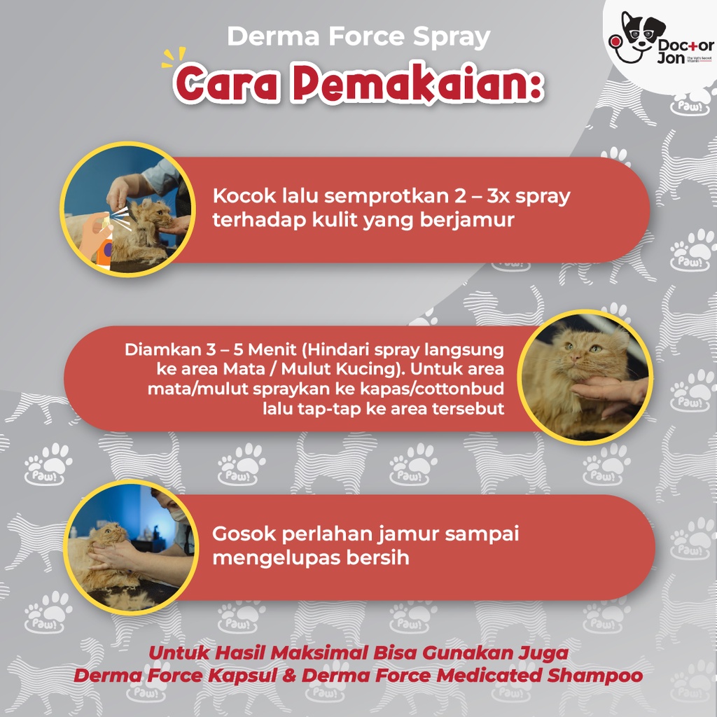 Paket Combo Hemat Anti Jamur Kucing / Doctor Jon Derma Force