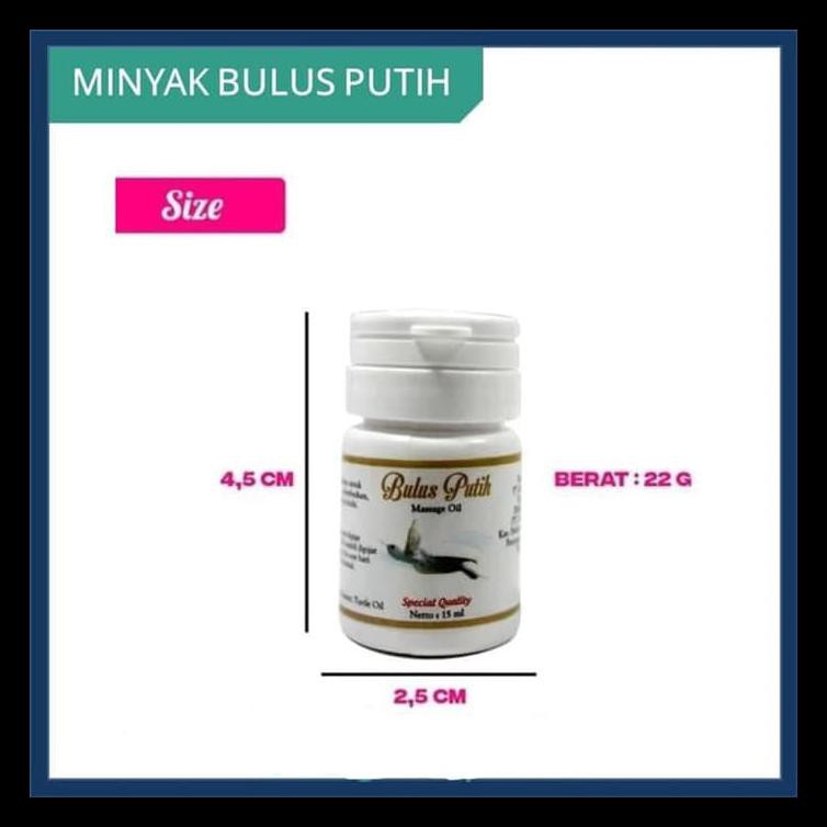 

Minyak Bulus Putih - Bulus Putih Massage Oil Original Bpom Terjamin