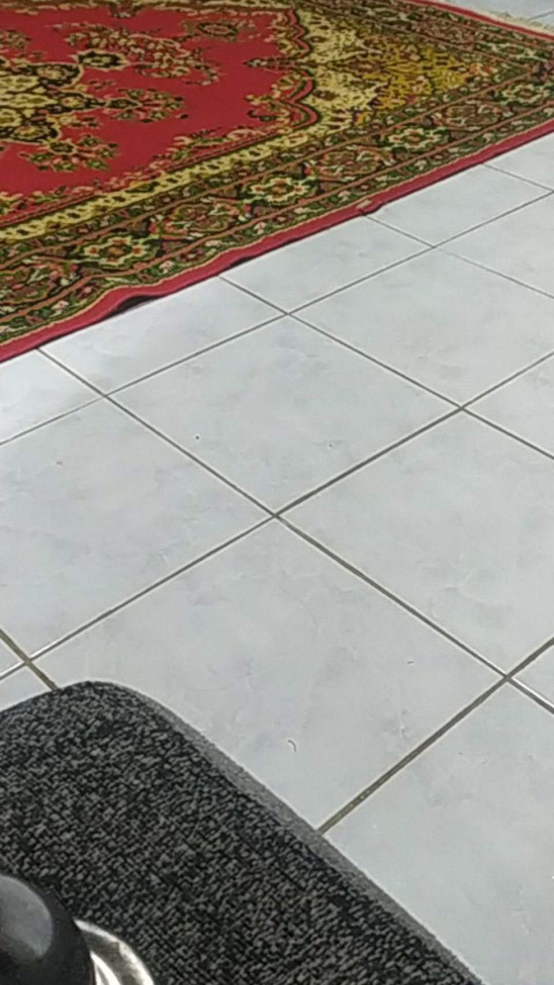 Prasmanan Vicenza Set Ha14