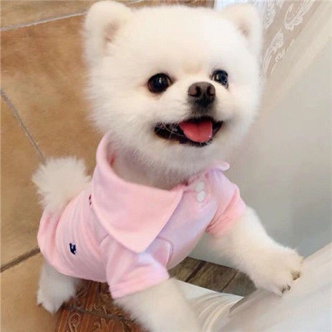Sweater Musim Dingin Untuk Anjing Kecil Shopee Indonesia