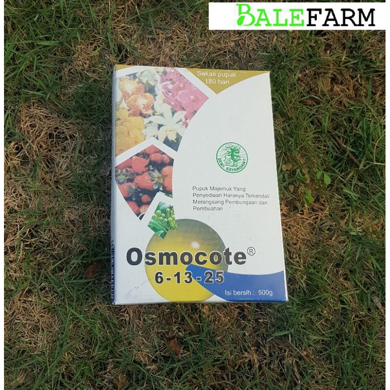Jual Pupuk Osmocote Dekastar 6 13 25 Pupuk Tanaman Hias 13 13 13 17 11