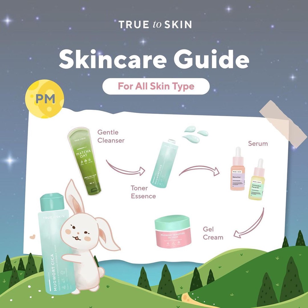 TRUE TO SKIN | Cleanser Gel Mask Serum Mugwort Toner Moisturizer