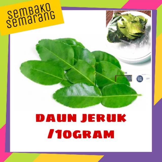 

Daun jeruk 10gr