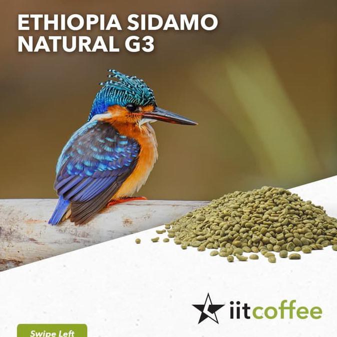 

Arabica Green Beans - Ethiopia Sidamo G3 Natural 1Kg