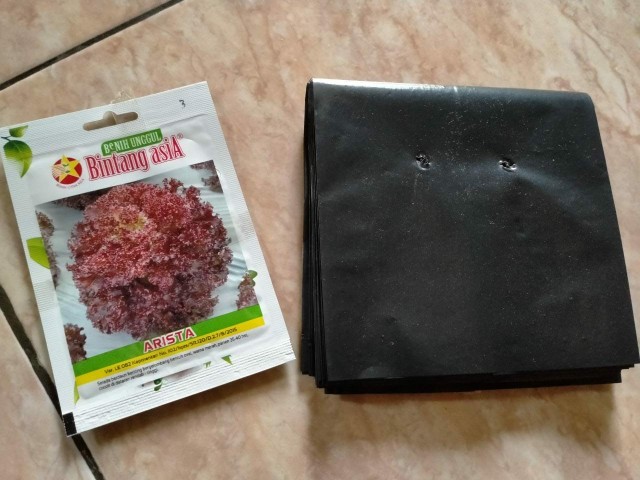 Benih Selada Merah Arista