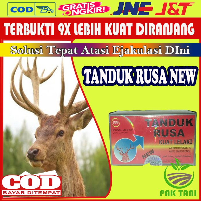 Kapsul Tanduk Rusa New 30 Kapsul Obat Kuat Herbal Pria