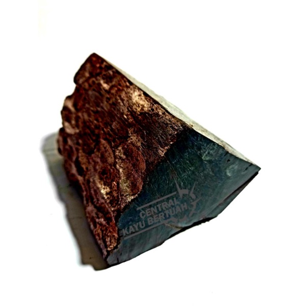 bahan mentahan kayu galih kelor hitam