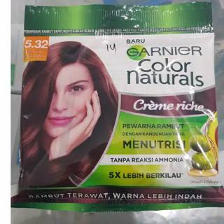  Garnier  Cat  Rambut  Sachet  Pewarna 20ML 20GR Shopee 