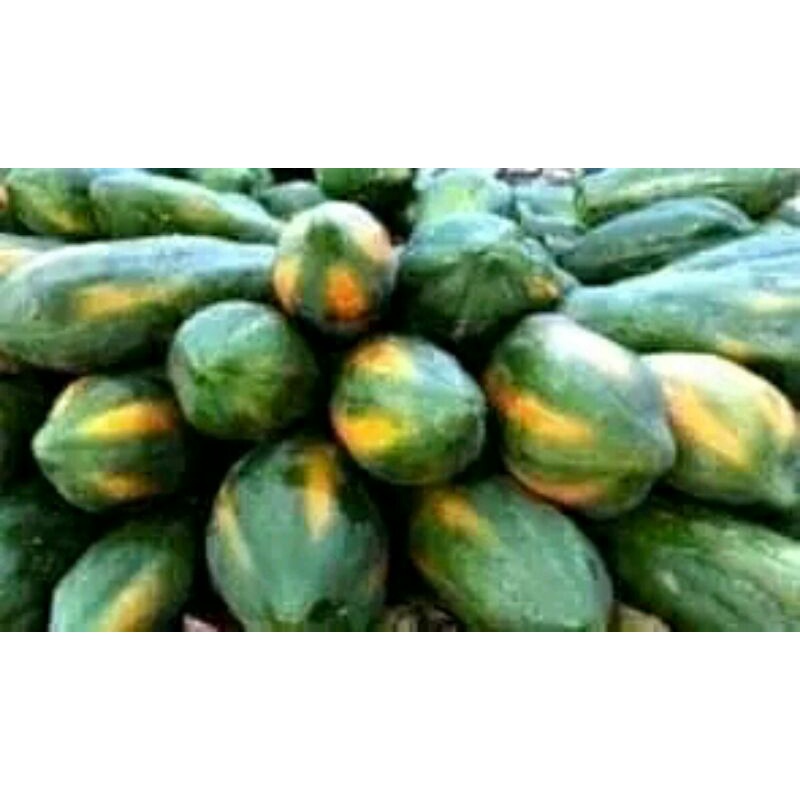 

pepaya Matang mateng perbuah kalifornia & bangkok
