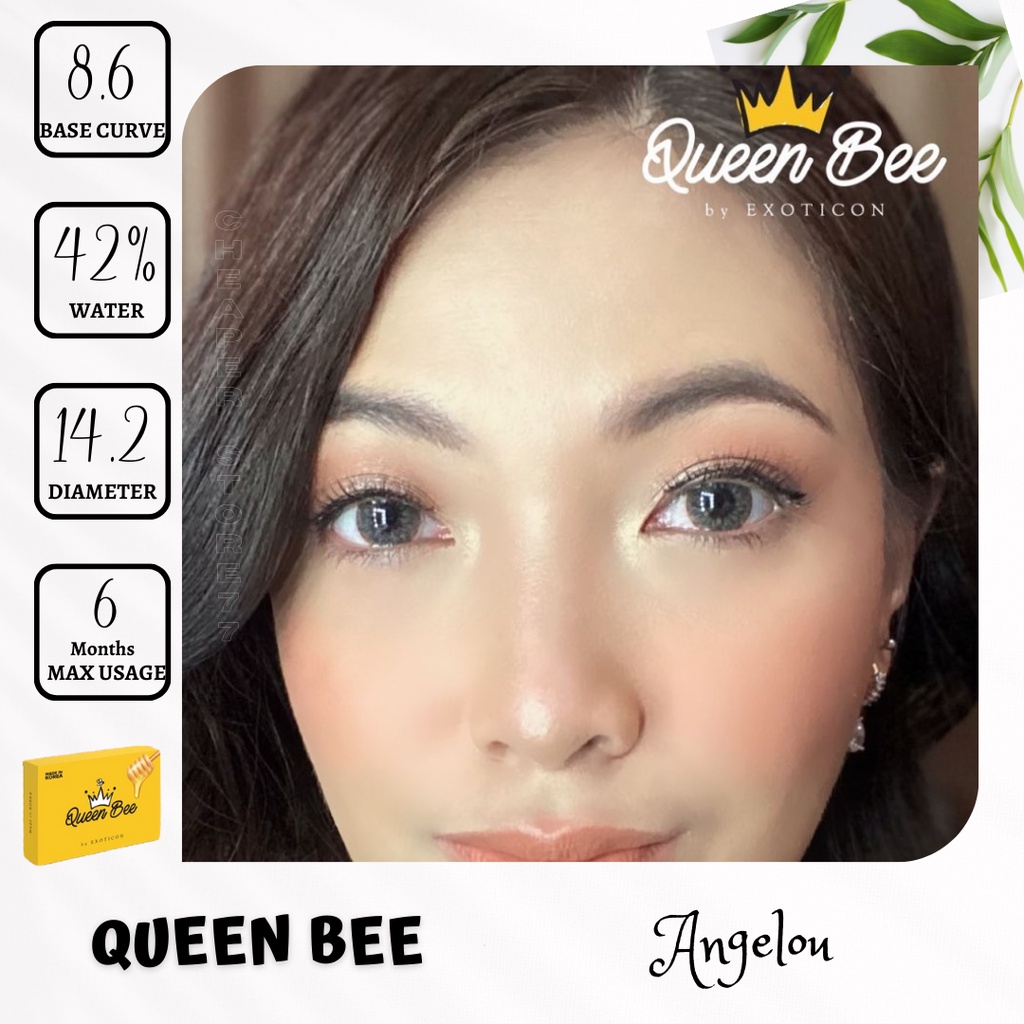 SOFTLENS X2 QUEEN BEE NORMAL DIA. 14.20mm