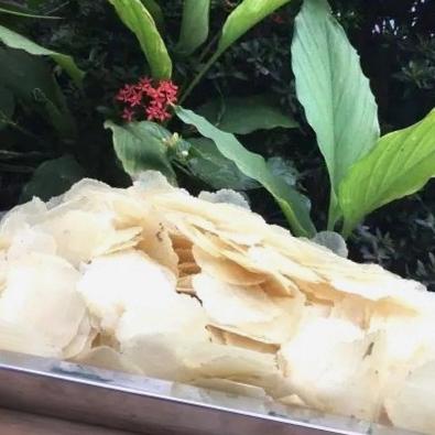 

EMPING ASLI MELINJO SIAP GORENG 2 KG