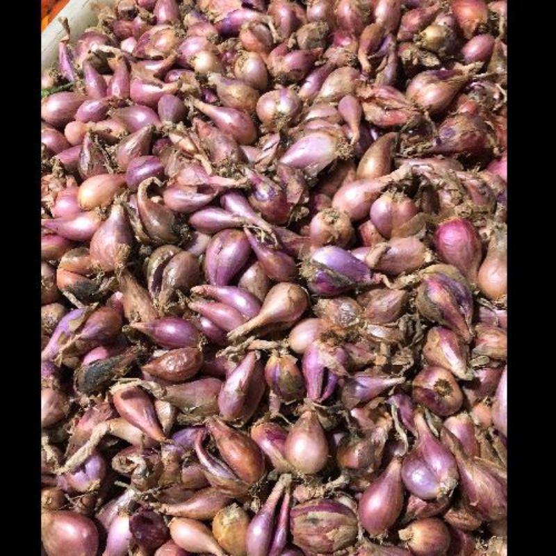

Bawang goreng mentah || 500 gram, 1 kg ||