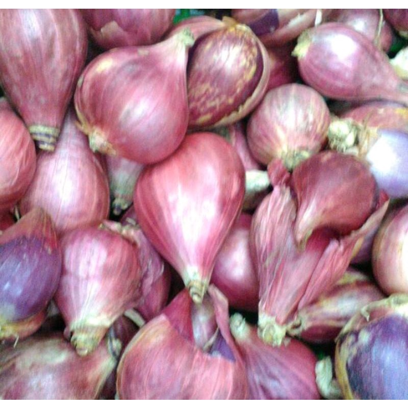 

Bawang Merah Organik 250g