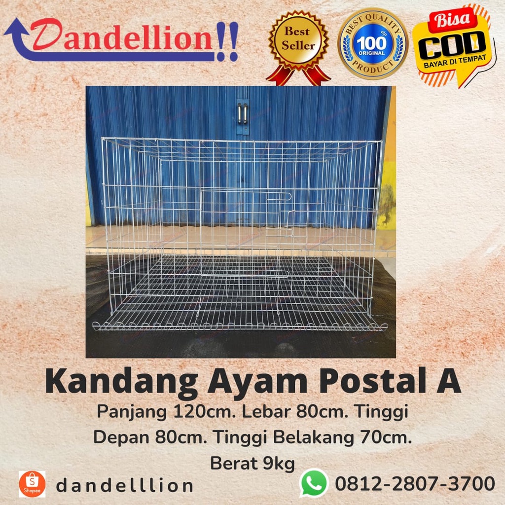 Kandang Galvanis Kandang Ayam Koloni Bangkok, KUB, Kampung