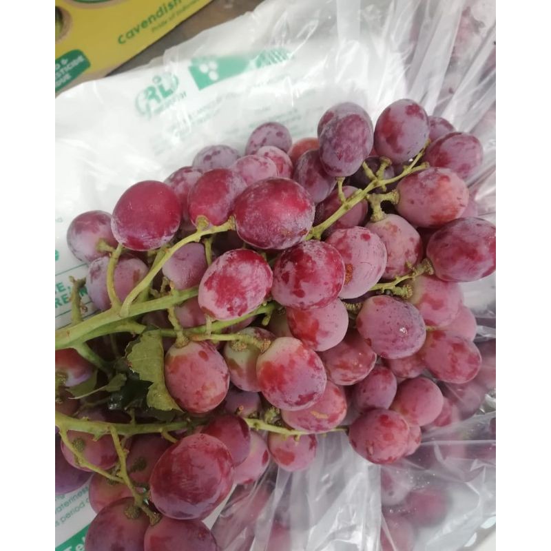 

anggur red globe