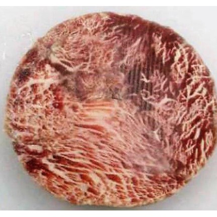 

Cube roll Steak 200gram