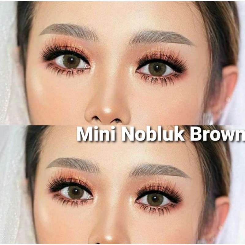 Softlens Dreamcolor Mini Nobluk Gray Abu dia.14mm Normal Minus s.d -8.00