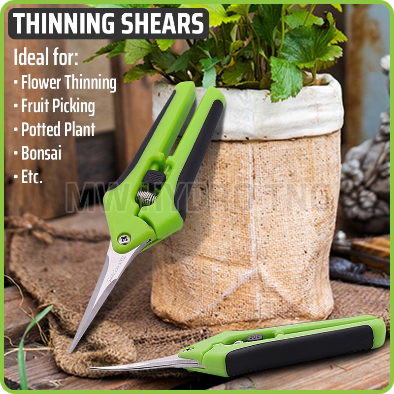 Garden Thinning Shears - Gunting Daun Bunga Buah Bonsai Tanaman Pot