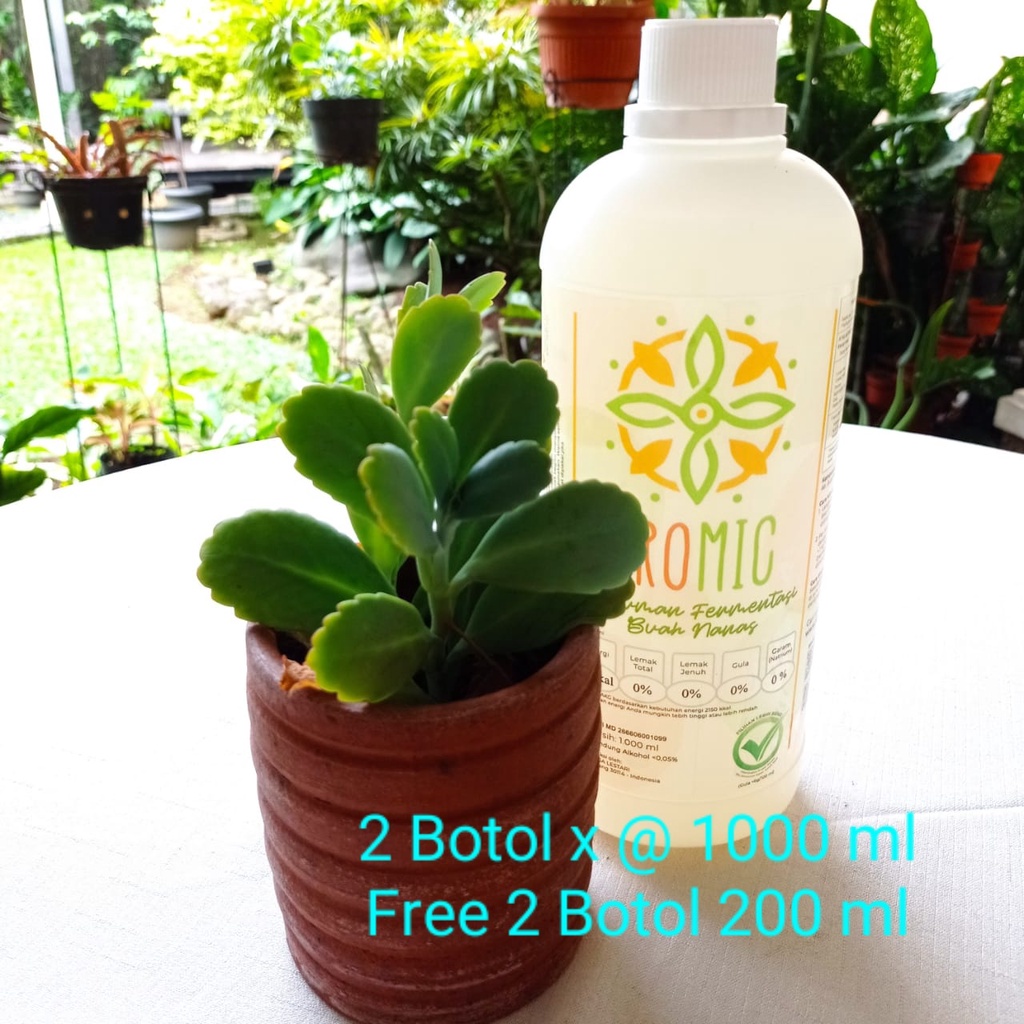 PROMIC  Promo (2 Botol 1000 ml Free 2 Botol 200 ml)/ Minuman Probiotik / Biang Starter Promic 1 Liter