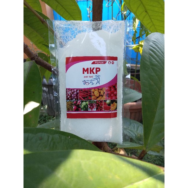 Pupuk MKP Pak Tani Kemasan 200 Gram