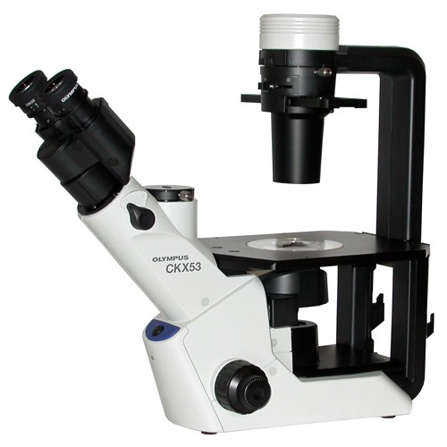 Jual Olympus Culture Inverted microscope CKX53 Shopee Indonesia