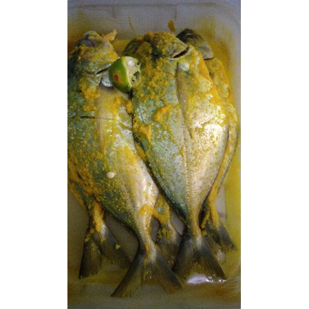 

ikan bumbu kuning fress