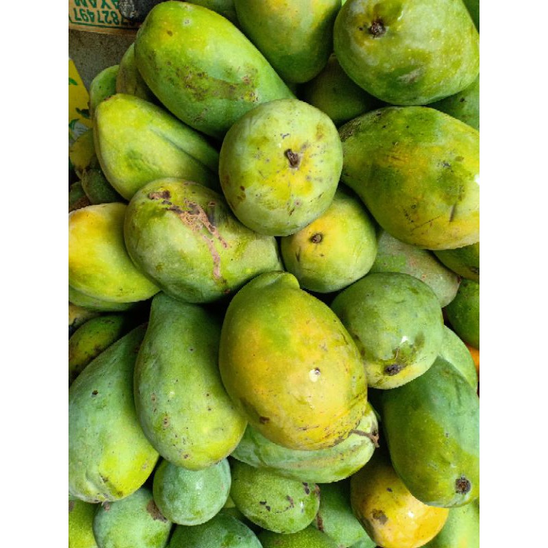 

mangga harum manis segar 1kg