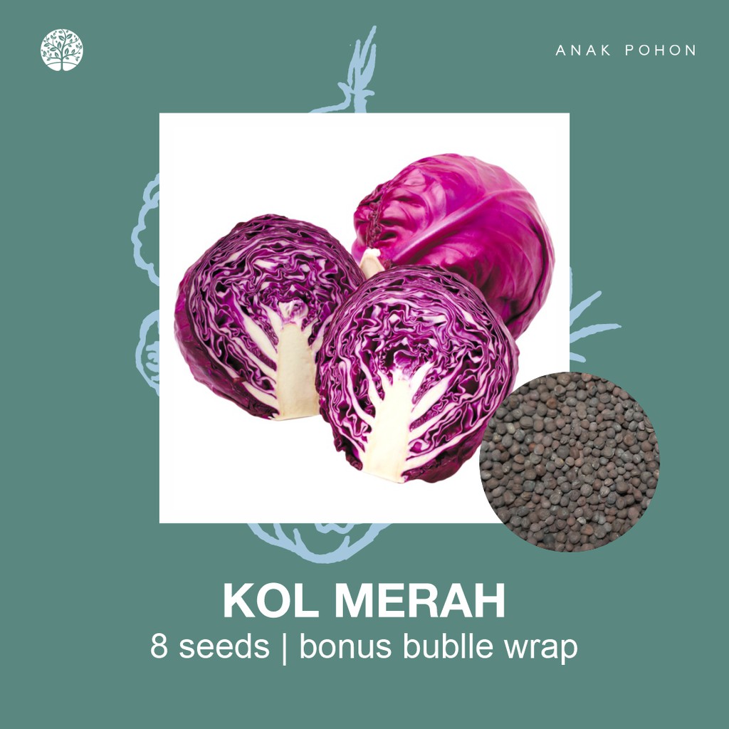 SERBA SERIBU - Benih Bibit Biji - Paket Benih Sayuran DAUN Termurah Kangkung Sawi Selada Seledri Kol-Kol / Kubis Merah