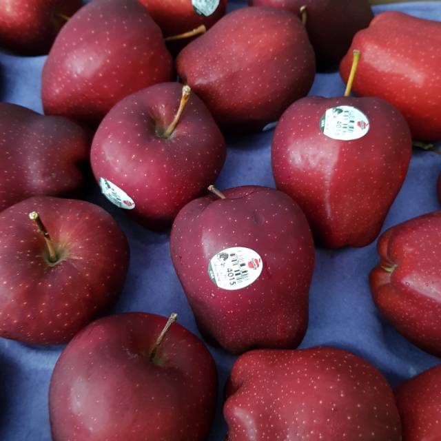 

Buah Apel Merah Washington Red Delicious 1 Kg