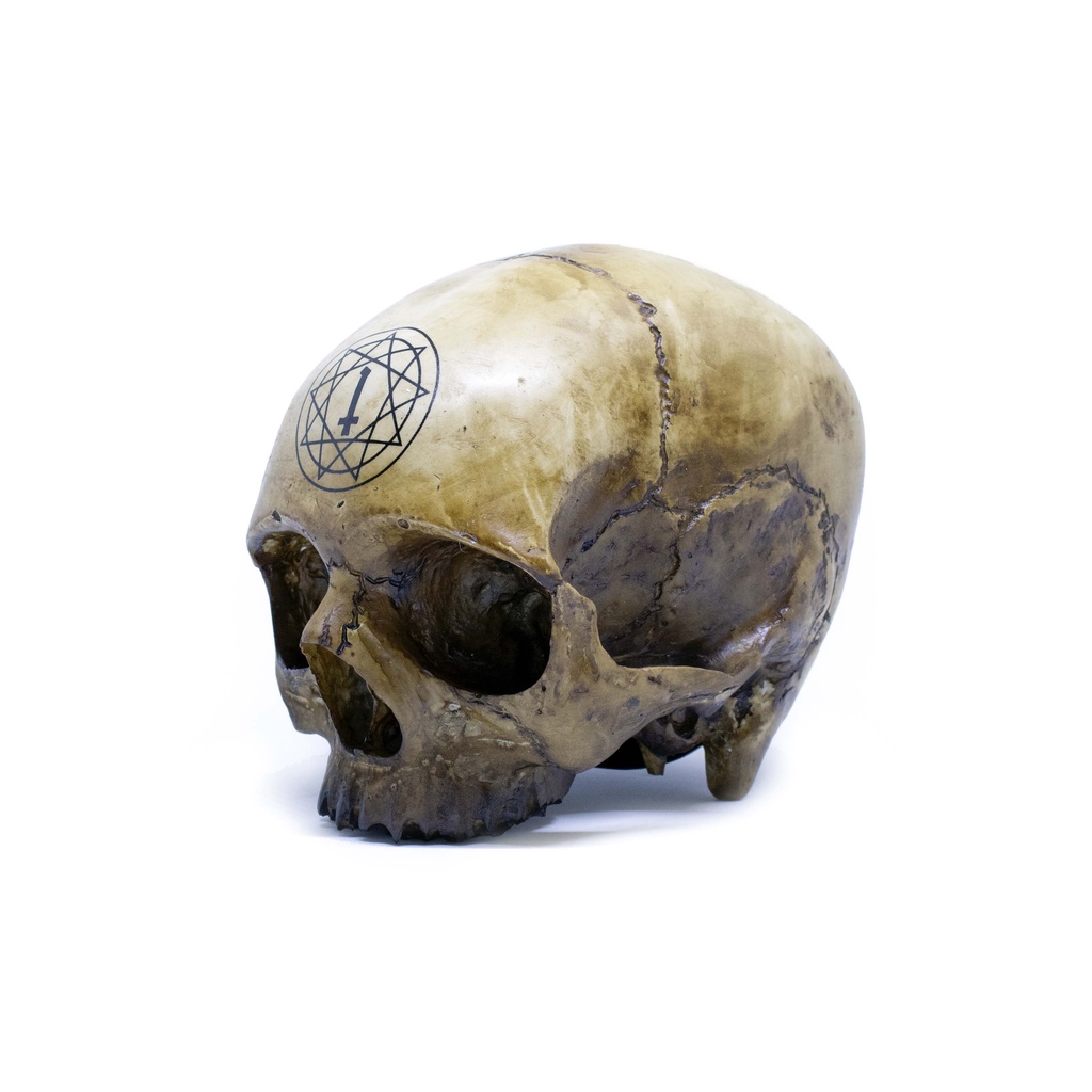 Heretic - Money Bank / Celengan - Tengkorak - Pentagram Skull