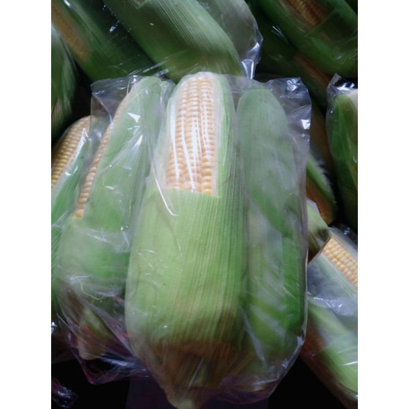 

jagung manis