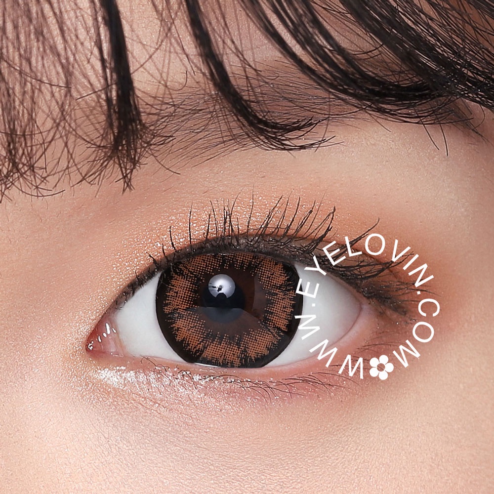 EYELOVIN Softlens Holicat - Cutie Brown