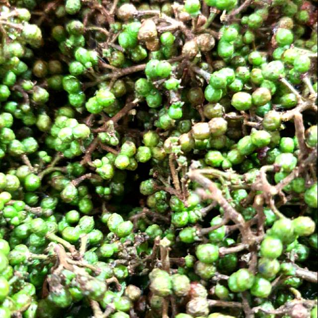 

Andaliman raya medan 1kg