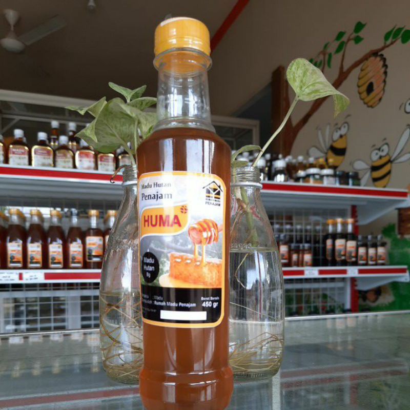 

Madu Hutan Kalimantan 450g