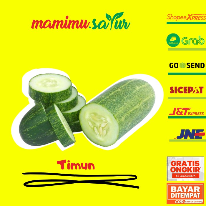 

TIMUN SEGAR 500 GR MENTIMUN TIMUN SAYURAN SEGAR TIMUN BESAR 1 KG TIMUN LOKAL BESAR TIMUN LALAP