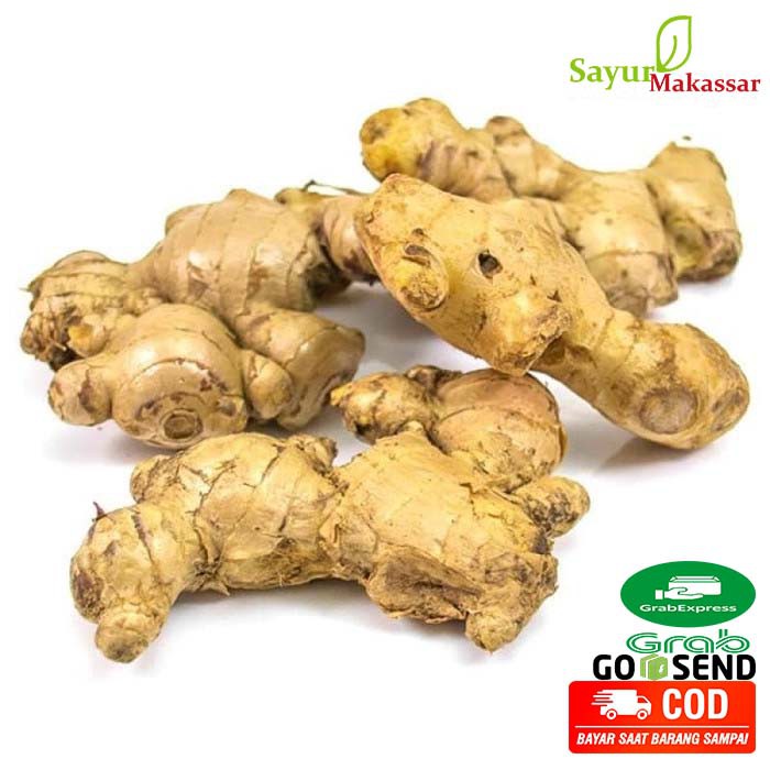 

Jahe Gajah Bumbu Dapur Sayur Makassar