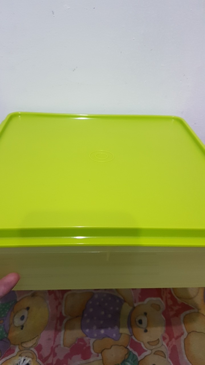 Mosaic Snack Snak Stor Kotak Wadah Penyimpanan Kue Cake