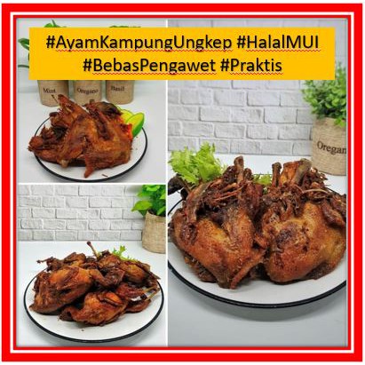 Ayam Kampung Ungkep Lezat (Bebas Pengawet) Plus Sambal Siap Saji