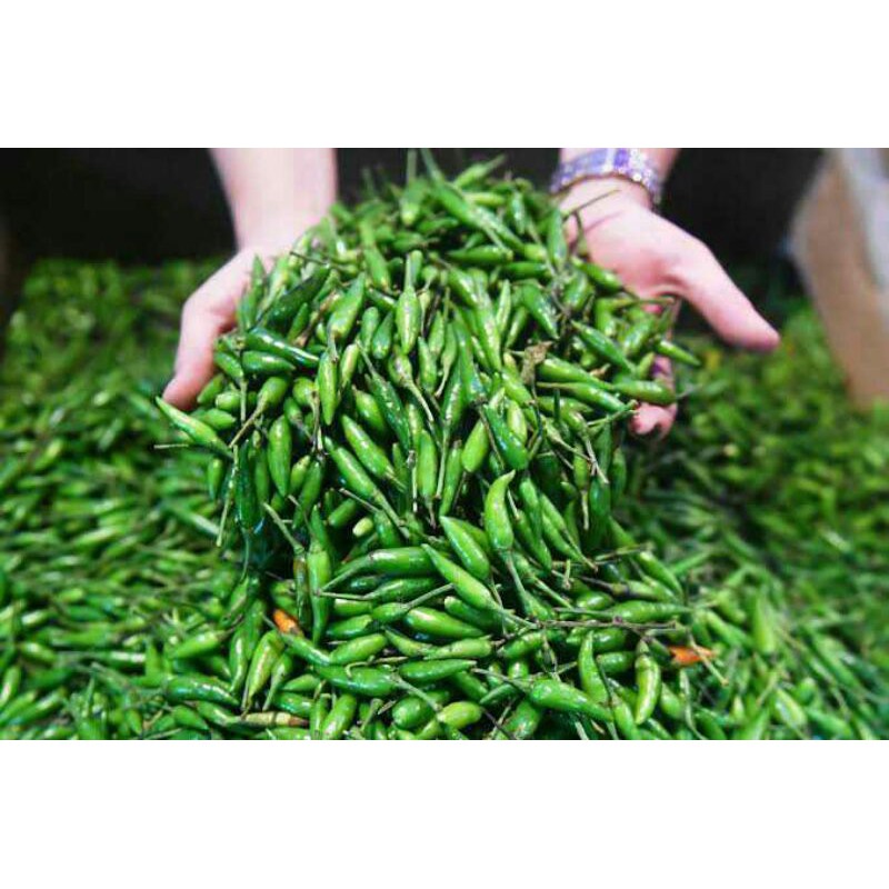 

CABE RAWIT HIJAU 100 gram