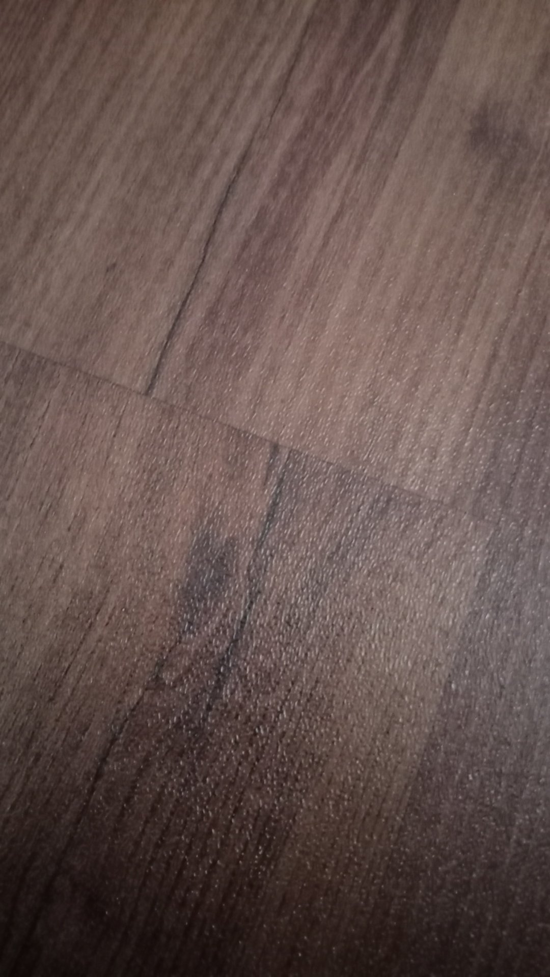 Bubble Wrap Tambahan Packing