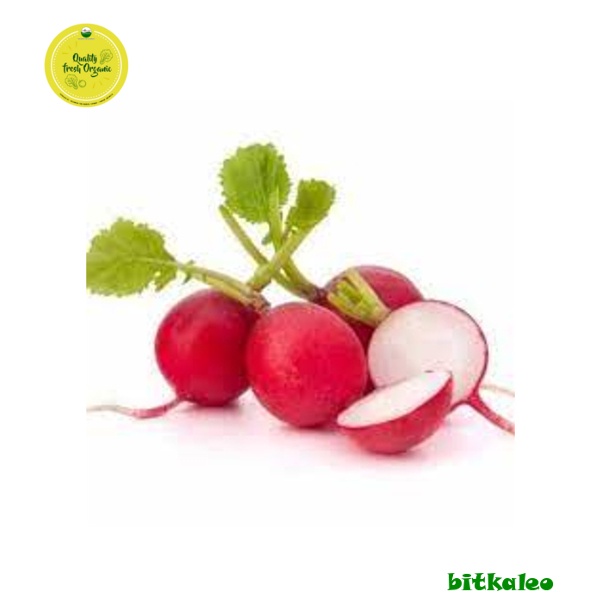 

Radish Organik 500 gr (PO)