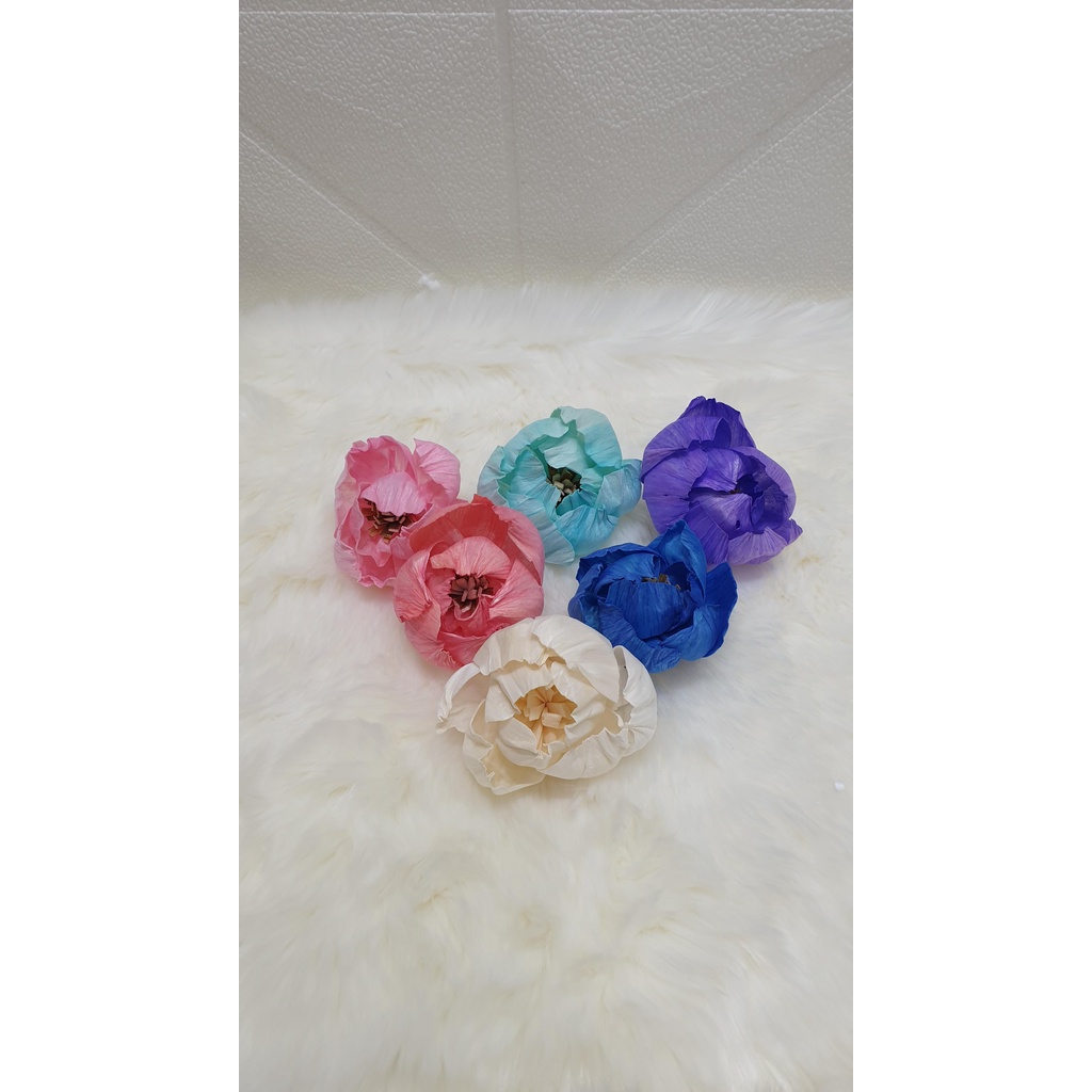SOLA FLOWER PEONY 6-7cm COLOR / SOLA WOOD